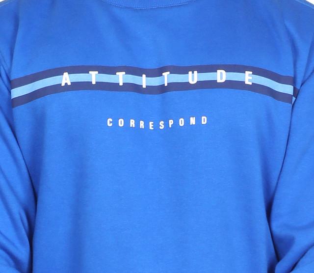 Full Sleeve Printed Sweatshirt Blue