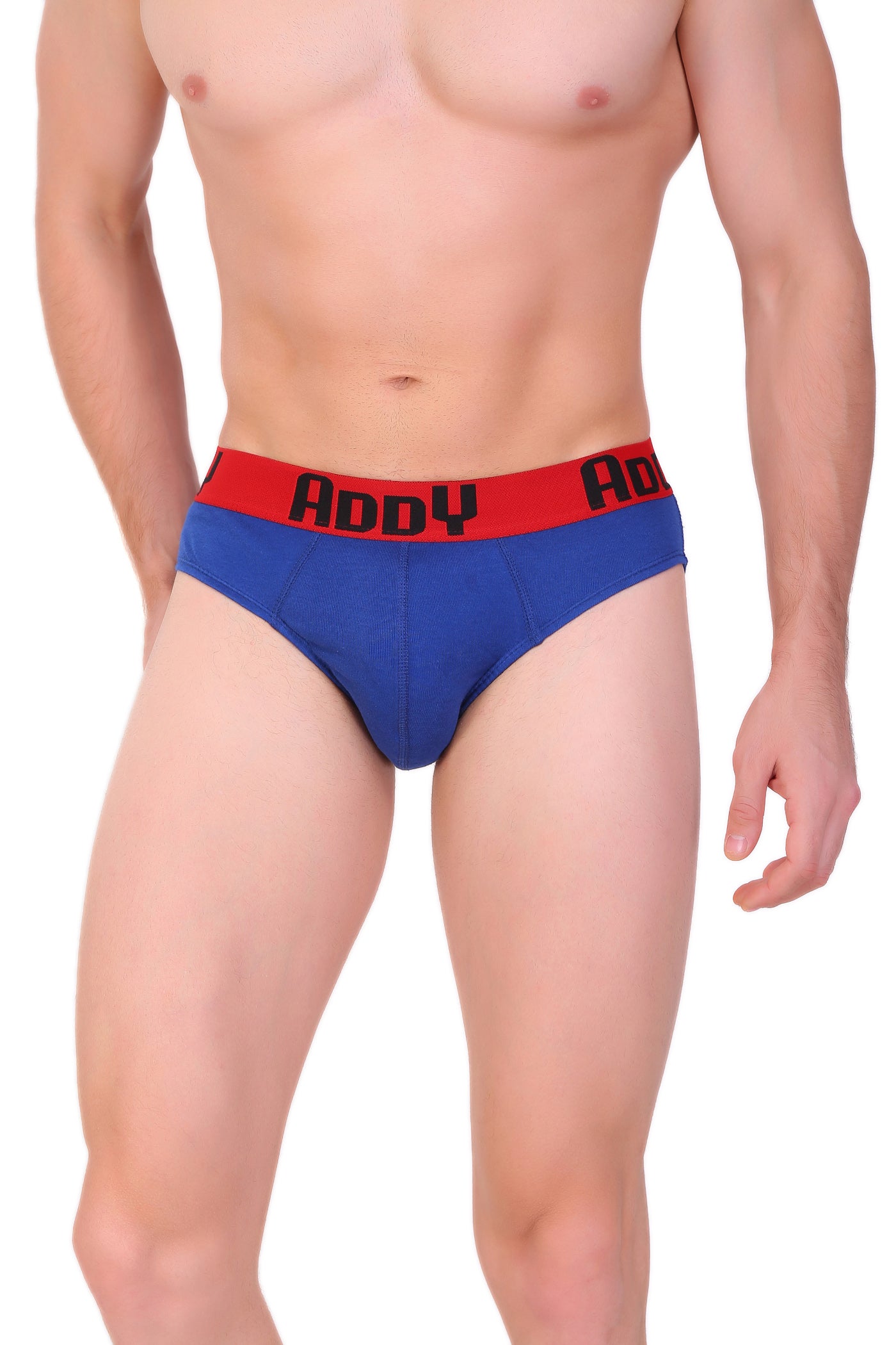 T.T. Men Addy Brief Top Elastic Solid Pack Of 10 Assorted Colors