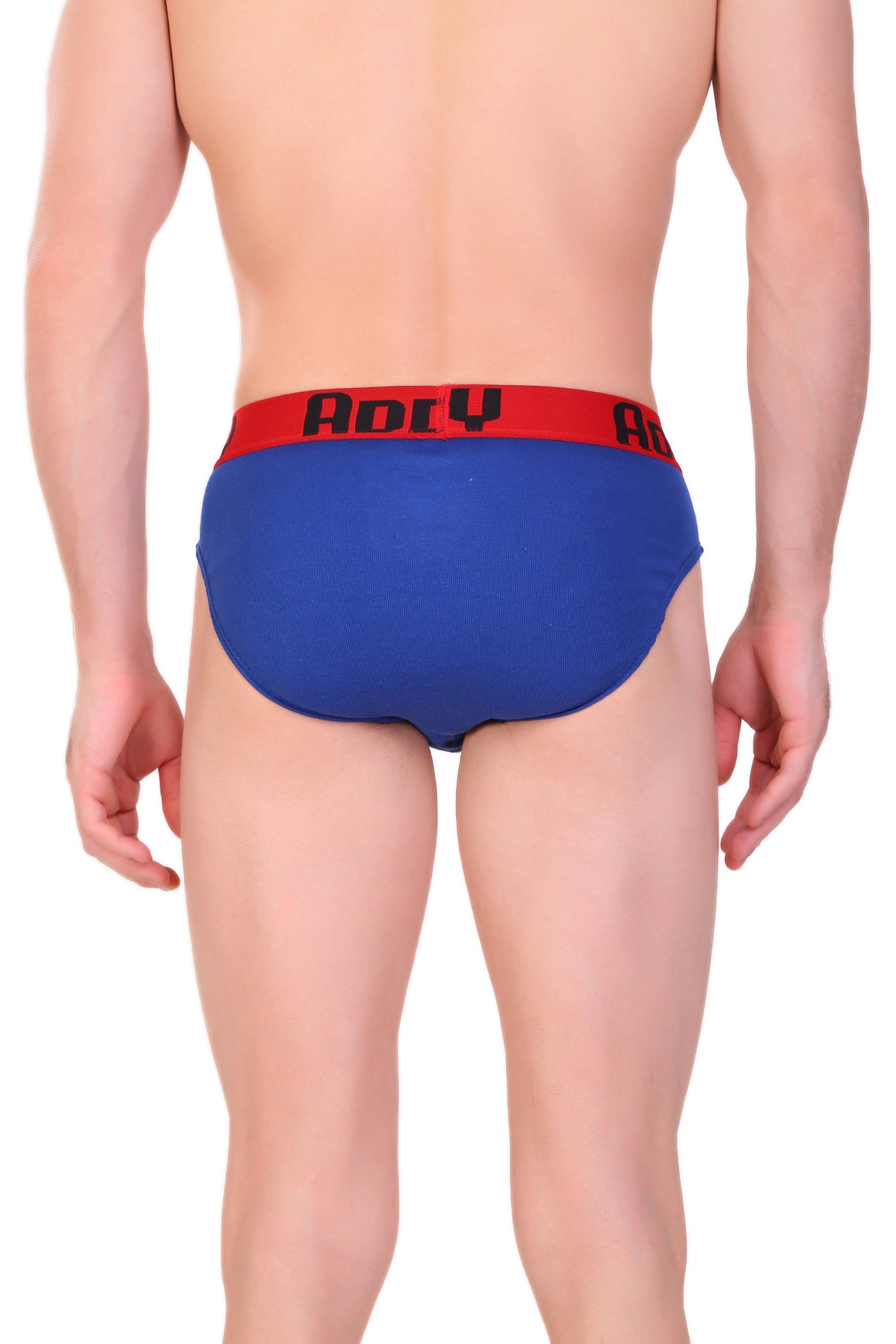 T.T. Men Addy Brief Top Elastic Solid Pack Of 10 Assorted Colors